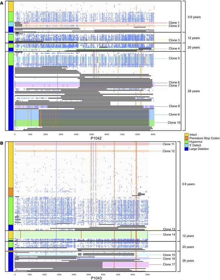 Proviral landscape in the 2 fraternal twins over two 28 years of antiret...