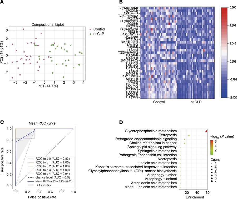 Differentially expressed lipids and their enriched metabolism pathways.
...