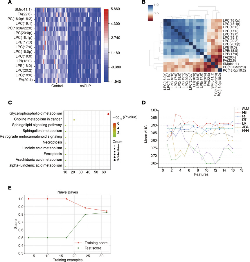 Functional analysis and classification model performance on targeted lip...