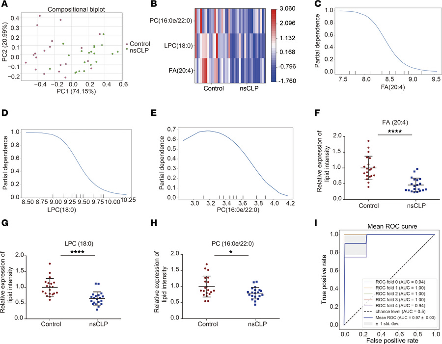 Three lipids biomarkers for nsCLP.
(A) PCA score plot of 3 lipid feature...