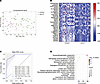 Differentially expressed lipids and their enriched metabolism pathways.