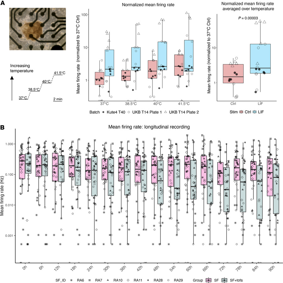 Modulation of neuronal firing by LIF and JAK inhibitors.
(A) Neurons pla...