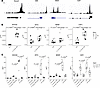 IL-6 + sIL-6R and LIF increase the expression of pain-relevant genes with p