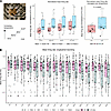 Modulation of neuronal firing by LIF and JAK inhibitors.