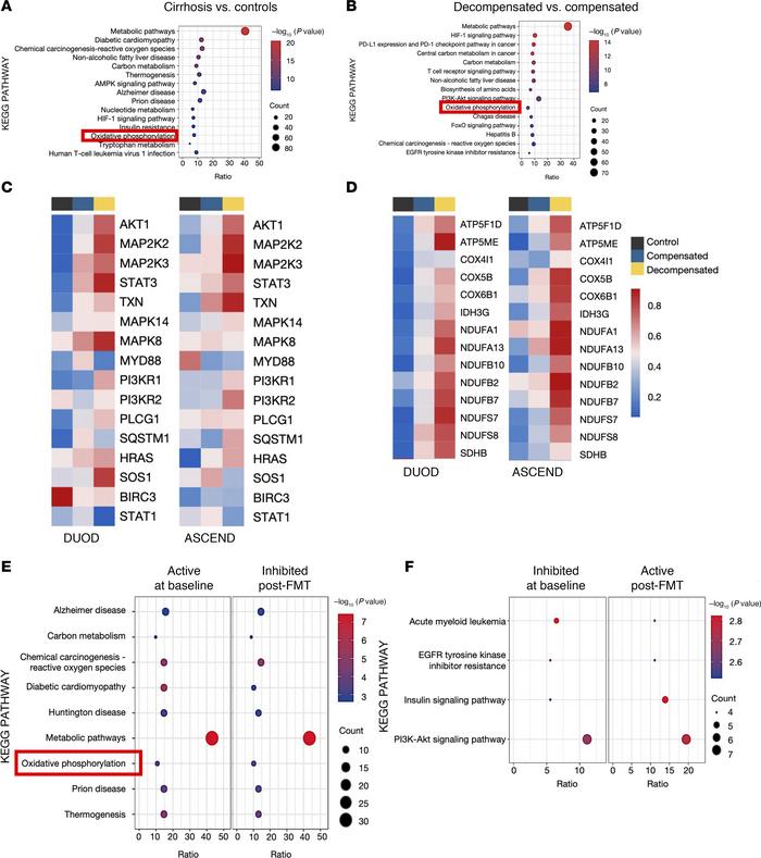 Intestinal mucosal changes in cirrhosis using cross-sectional and post-F...