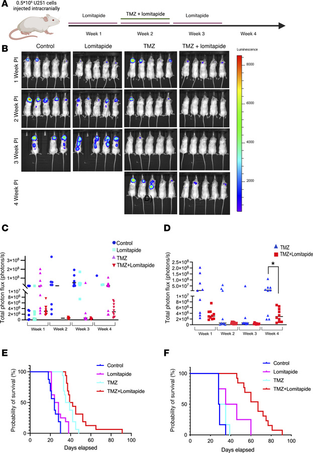 Lomitapide delays tumor recurrence and improves survival when combined w...