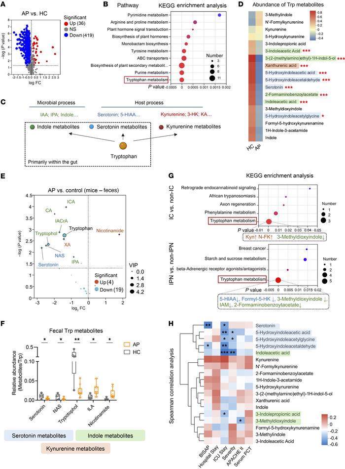 Alterations in fecal tryptophan metabolism in human AP patients and mous...