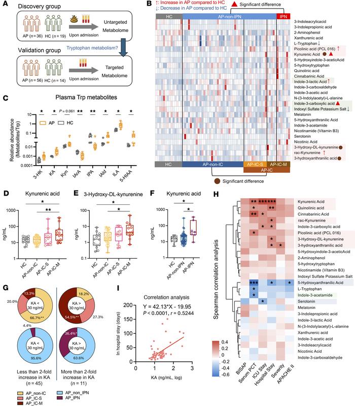 Plasma tryptophan profiling in relation to ICs in AP.
(A) Flow chart out...