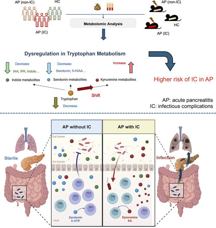 graphical abstract