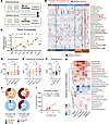 Plasma tryptophan profiling in relation to ICs in AP.