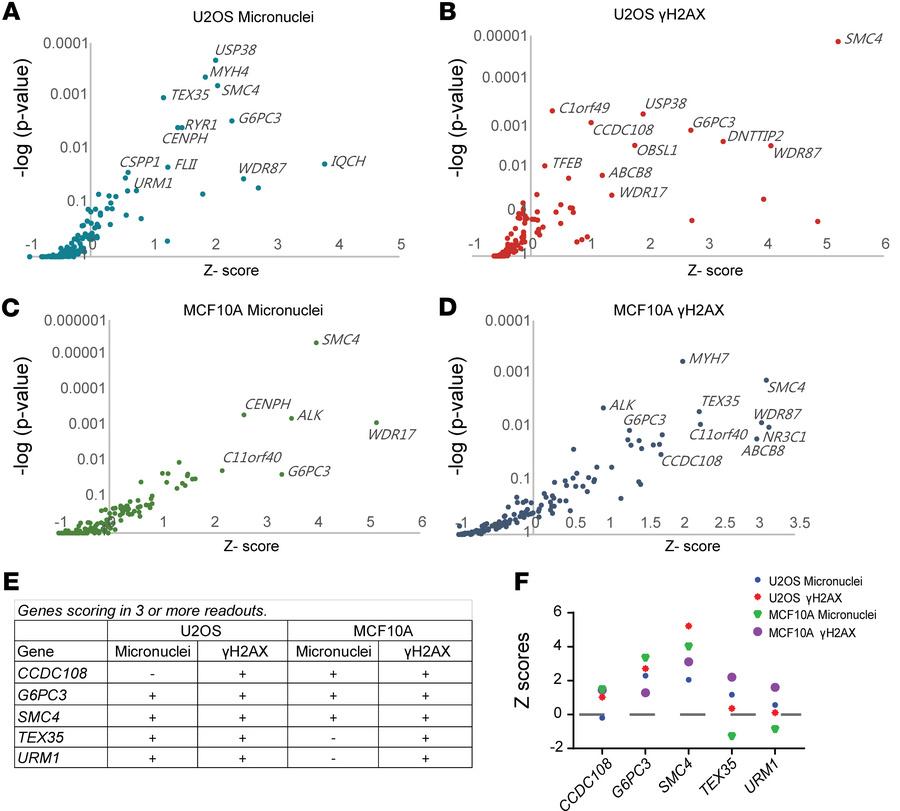 Functional screen identifies G6PC3 as a potential genome maintenance fac...