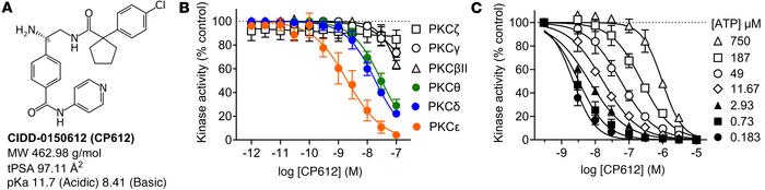 Structure and characterization of CP612.
(A) Structure and characteristi...