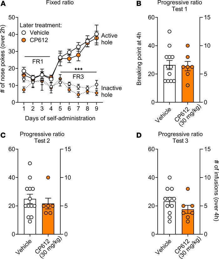 Self-administration of morphine after administering CP612 six hours befo...