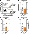 Self-administration of morphine after administering CP612 six hours beforeh