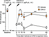 Hyperalgesia induced by the PKCε activator ψεRACK.