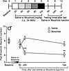Time course of hyperalgesia induced by morphine withdrawal.