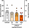 Self-administration of morphine when adding CP612 to the morphine solution.