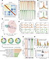 Genome-wide aberrant chromatin accessibility at enhancers in SGA-HUVECs.