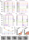 Characterization of enhancers regulating CD44 expression.