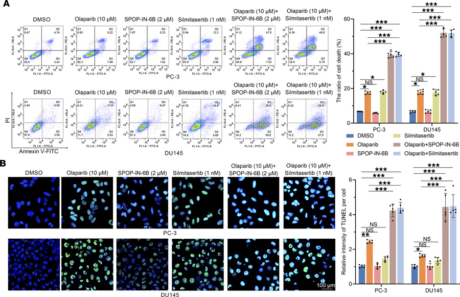 Targeting the CK2/PIAS1/SPOP axis contributes to the treatment sensitivi...