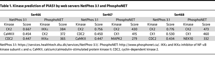 Kinase prediction of PIAS1 by web servers NetPhos 3.1 and PhosphoNET