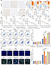 SPOP-mutated PCa cells are sensitive to olaparib-induced apoptosis.