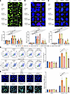 CK2-mediated phosphorylation of PIAS1-S468 increases DDR and inhibits olapa