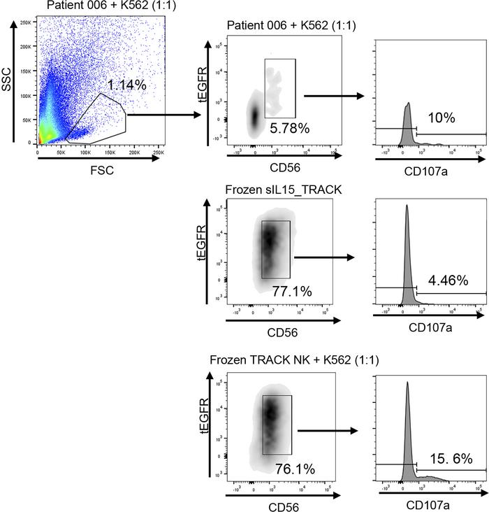 Flow cytometric assessment of patient lung tumor skinny needle biopsy.
T...