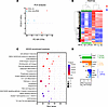 RNA sequencing of IL-1β–stimulated IR-induced renal tissue with or without