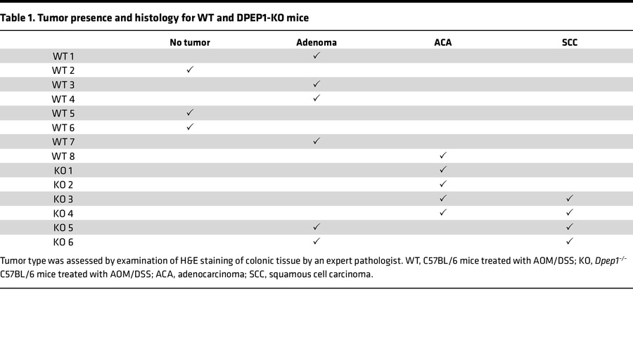 Tumor presence and histology for WT and DPEP1-KO mice