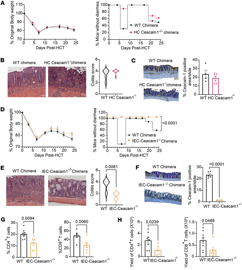 SR-Gut-aGVHD is ameliorated by Ceacam1 deficiency on host IECs but not o...