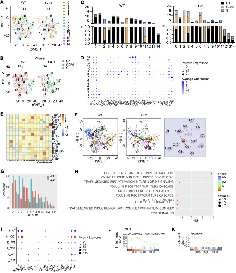 Amelioration of SR-Gut-aGVHD by Ceacam1 deficiency in IECs is associated...
