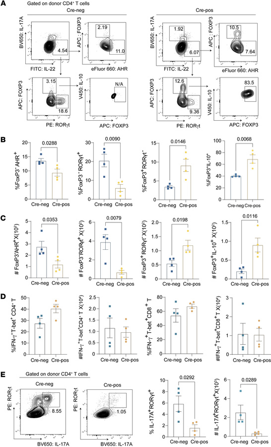 Amelioration of SR-Gut-aGVHD by Ceacam1 deficiency specifically in host ...
