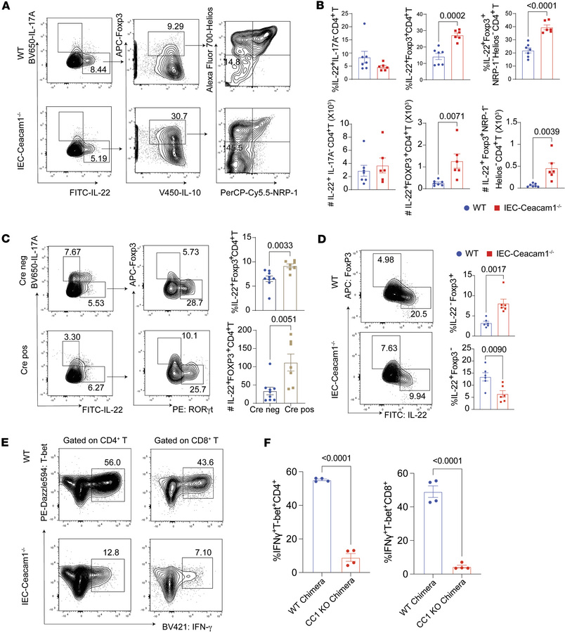 Amelioration of SR-Gut-aGVHD by intestinal epithelial Ceacam1 deficiency...