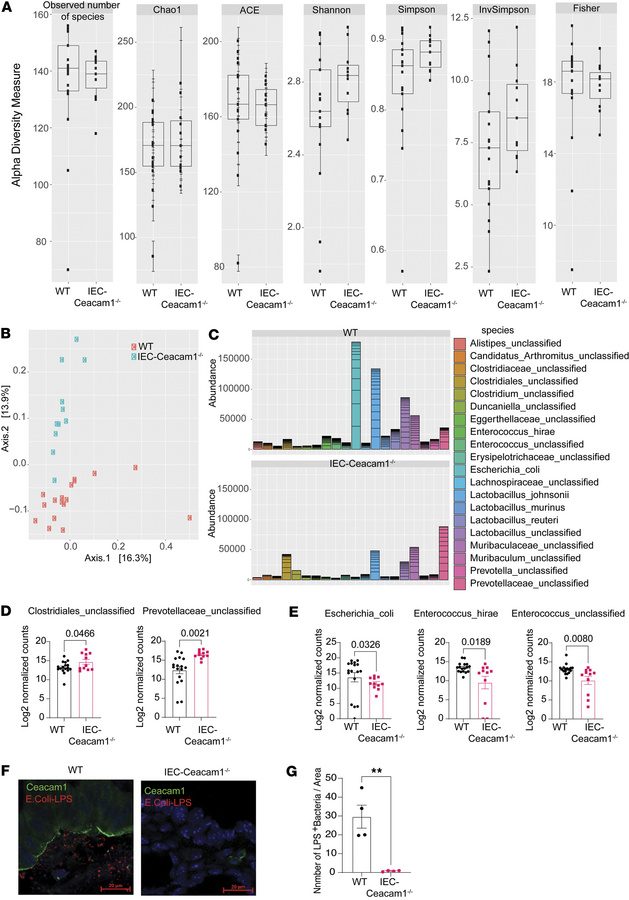 Amelioration of SR-Gut-aGVHD by Ceacam1 deficiency in IECs is associated...