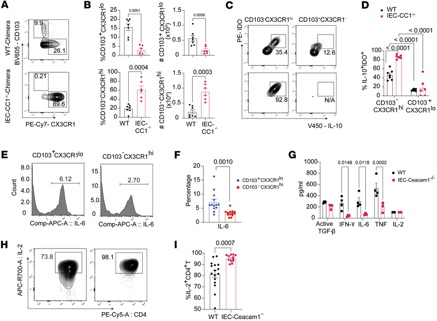 Amelioration of SR-Gut-aGVHD by Ceacam1 deficiency in IECs is associated...