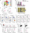 Amelioration of SR-Gut-aGVHD by Ceacam1 deficiency in the host is associate