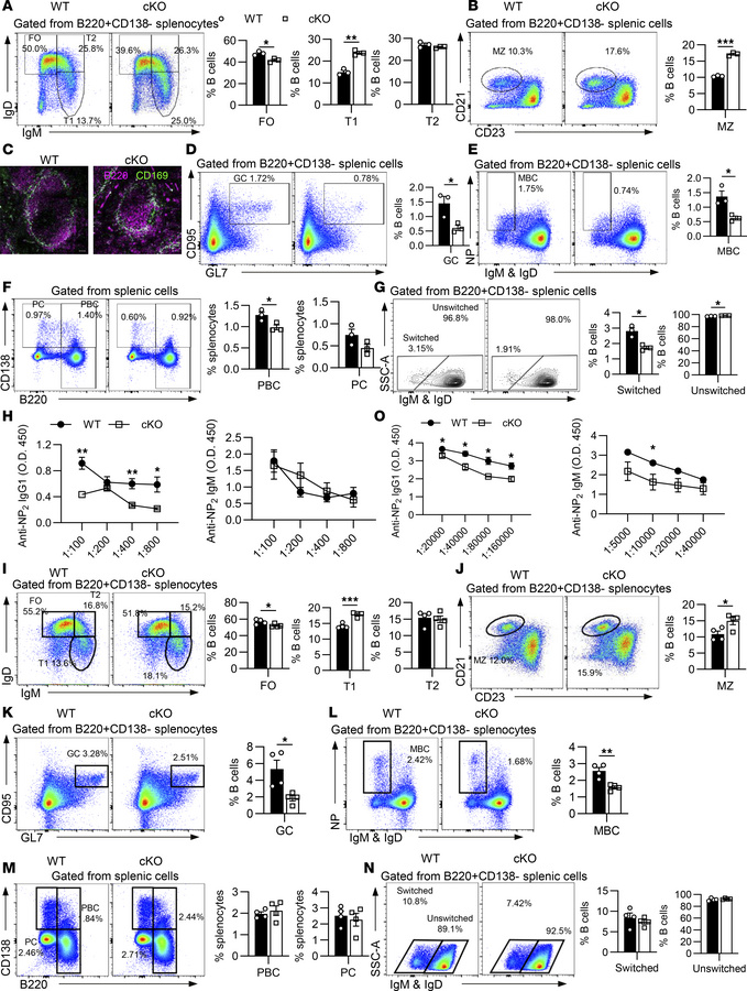 HMGB1 participates in both the T-independent and T-dependent immune resp...