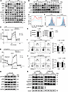 Hmgb1 deficiency enhances anti-BCR–stimulated PI3K/AKT/mTOR signaling while