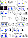 HMGB1 participates in both the T-independent and T-dependent immune respons