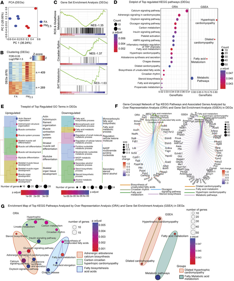 Transcriptome data analysis of PM2.5-exposed BAT: differential expressio...