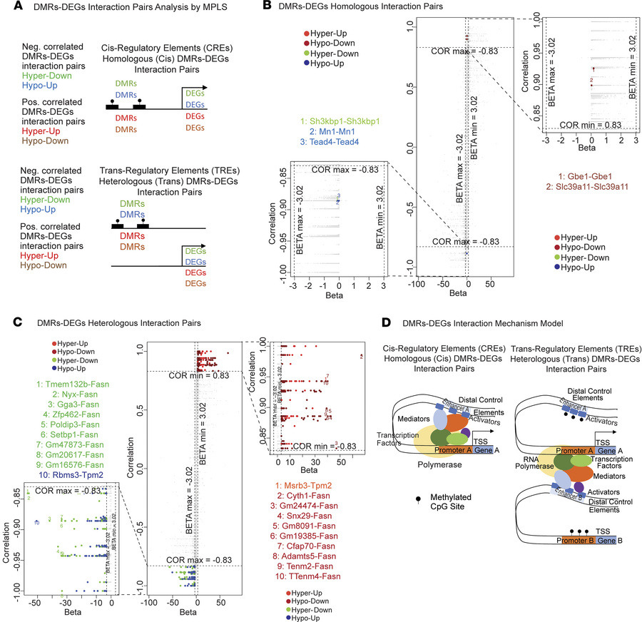 DNA accessibility data analysis of PM2.5-exposed BAT and integrative ana...