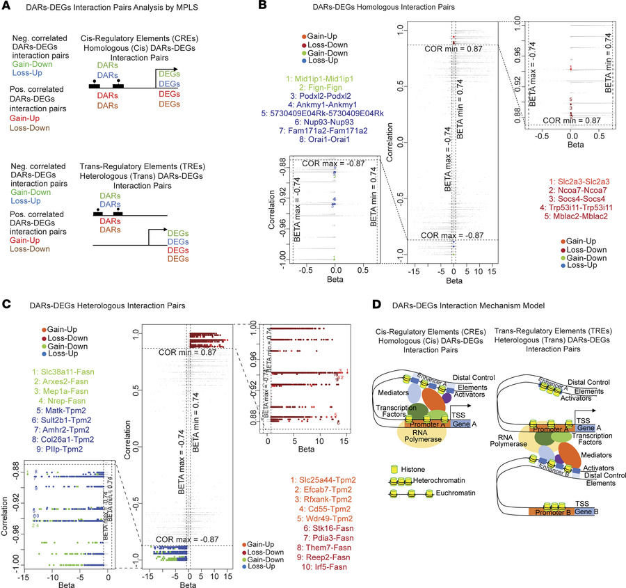 DNA accessibility data analysis of PM2.5-exposed BAT and integrative ana...