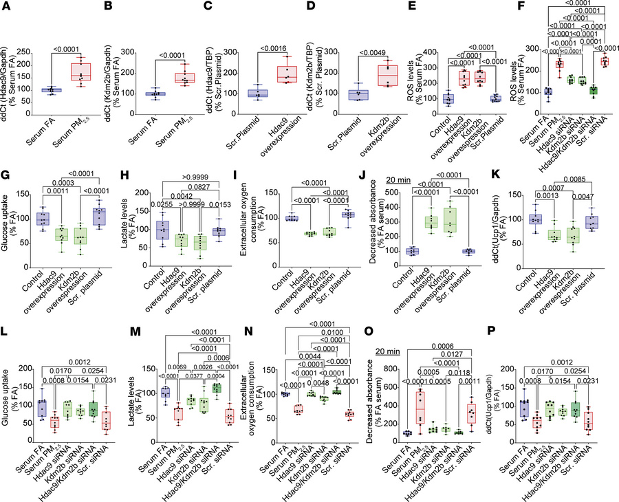 Effect of siRNA-mediated knockdown and CRISPR/Cas9-mediated overexpressi...