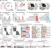 Methylome data analysis of PM2.5-exposed BAT. Methylome data analysis of PM2.5-exposed BAT.