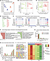DNA accessibility data analysis of PM2.5-exposed BAT. DNA accessibility data analysis of PM2.5-exposed BAT.