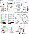 differential expression and associated functional analyses. differential expression a
