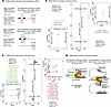 overall integrative analysis. DNA accessibility data analysis of PM2.5-exposed BAT and integrative analys