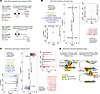 overall integrative analysis. DNA accessibility data analysis of PM2.5-exposed BAT and integrative analys