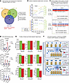 overall integrative analysis. DNA accessibility data analysis of PM2.5-exposed BAT and integrative analys